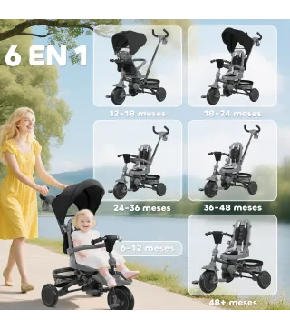 Triciclo Evolutivo