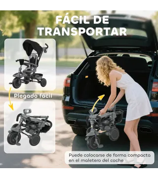 Triciclo Evolutivo