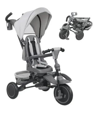 Triciclo Evolutivo
