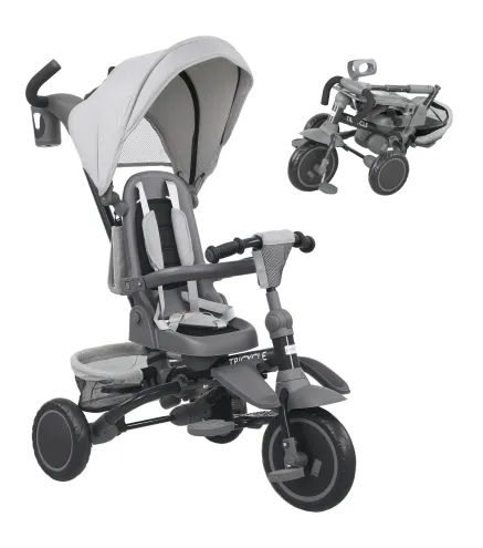 Triciclo Evolutivo