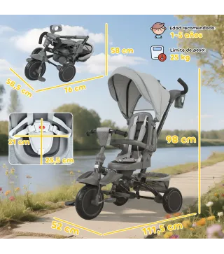 Triciclo Evolutivo