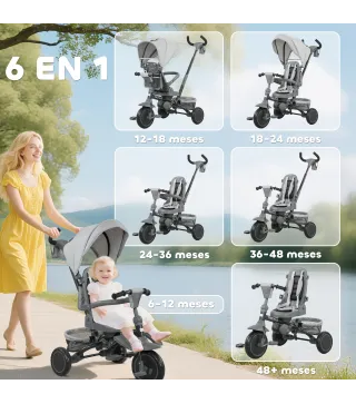 Triciclo Evolutivo