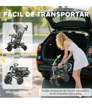 Triciclo Evolutivo