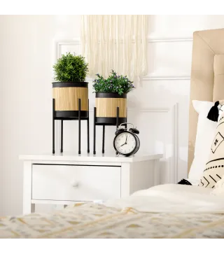 Soportes para Plantas