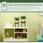 Soportes para Plantas