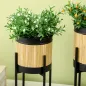 Soportes para Plantas