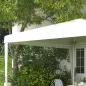 Carpa para Jardín Carpa para Jardín