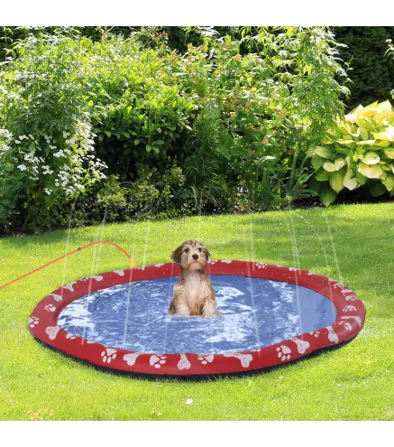 Splash Pad
