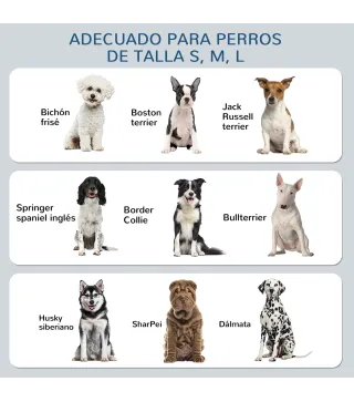 Comedero para Perros