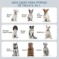 Comedero para Perros