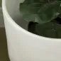 Macetas para Flores
