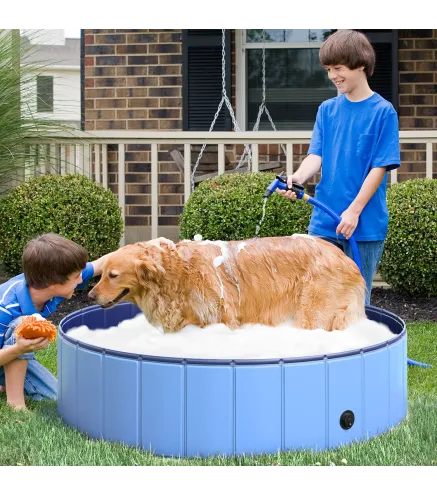 Piscina para Mascotas