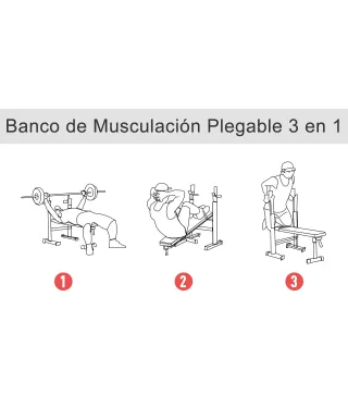 Banco de Pesas