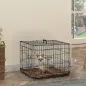 Jaula de Perro