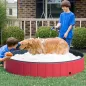 Piscina Plegable para Perros Gatos Ø160x30 cm Bañera Portátil para Mascotas PVC Antideslizante Múltiples Usos para Interiores y