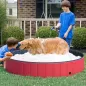 Piscina Plegable para Perros Gatos Ø160x30 cm Bañera Portátil para Mascotas PVC Antideslizante Múltiples Usos para Interiores y