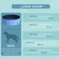 Piscina para Mascotas