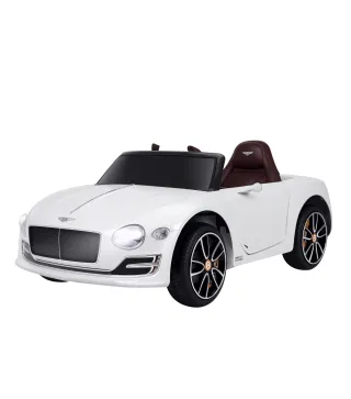 Coche Eléctrico