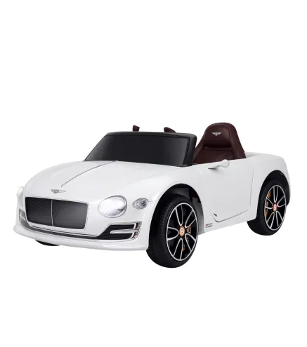 Coche Eléctrico