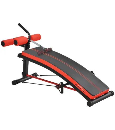 Banco de Musculación