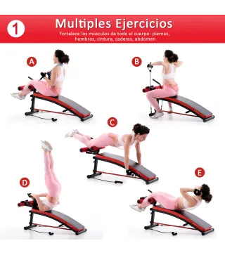 Banco de Musculación