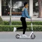 Patinete Plegable