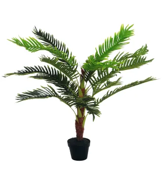 Cycas Artificial