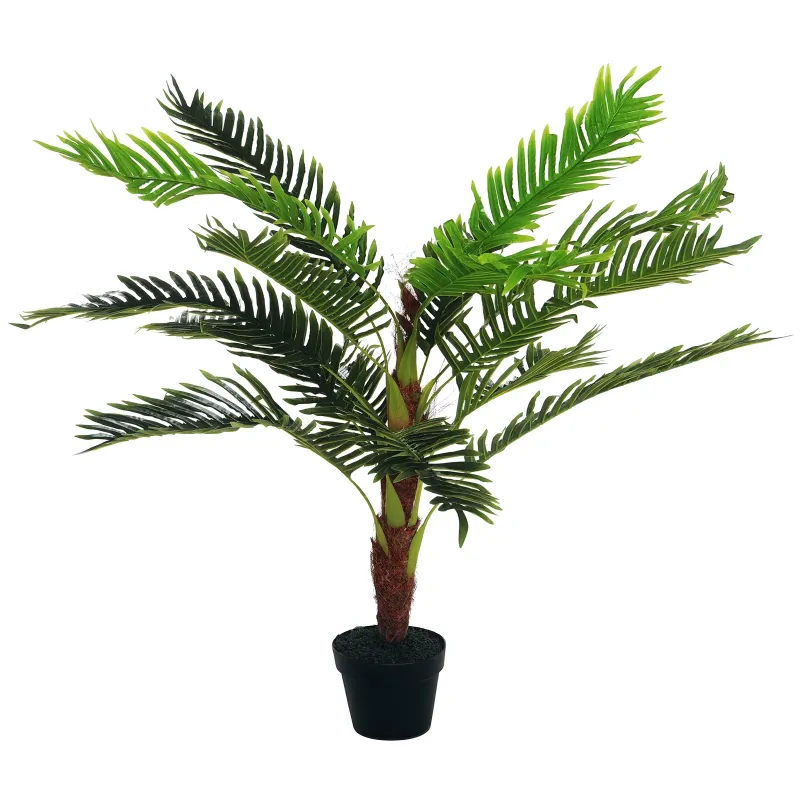 Cycas Artificial