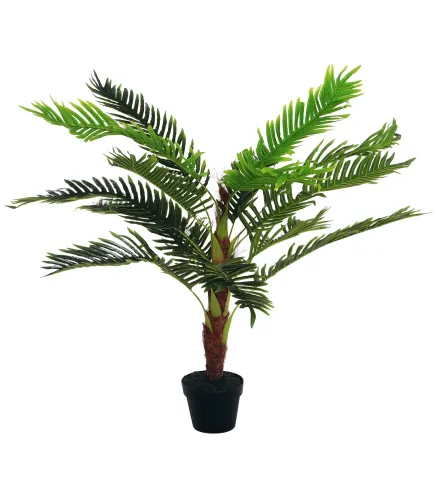 Cycas Artificial