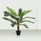 Cycas Artificial