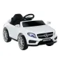 Coche Eléctrico