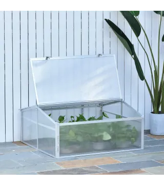 Casero Plantas