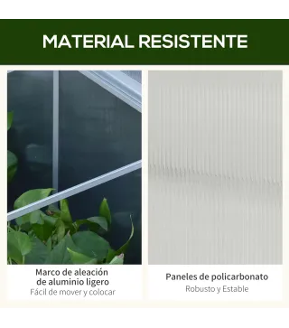 Casero Plantas