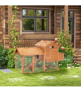 Gallinero de Madera Exterior