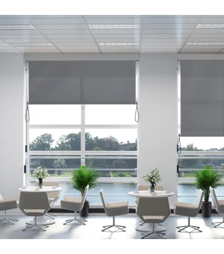 Toldo Vertical Enrollable