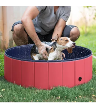 Piscina para Mascotas