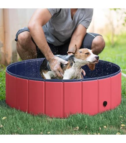 Piscina para Mascotas