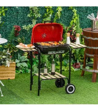 Barbacoa de Carbón