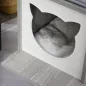 Árbol para Gatos