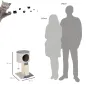 Árbol para Gatos