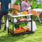 Carrito de Parrilla