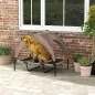 Cama Perros Elevada