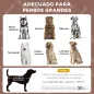 Cama Perros Elevada