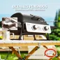 Barbacoa de Gas
