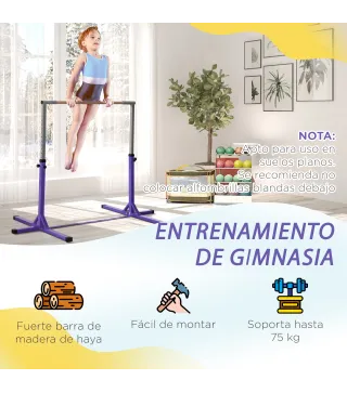 Barra de Gimnasia