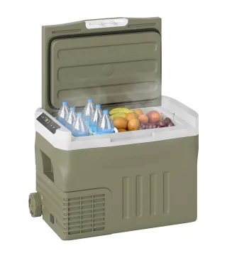 Nevera Portátil
