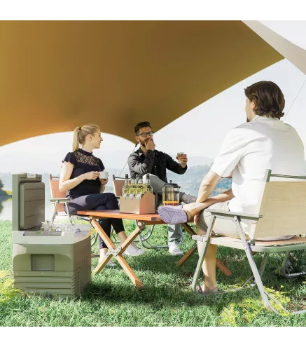 Nevera Portátil Eléctrica 30L Refrigerador de Coche 12V/24V -20℃ a +20 ℃ con Pantalla LED Táctil 61x39x41,5 cm Verde