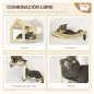 Conjunto para Mascotas