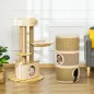 Conjunto para Gatos Conjunto para Gatos