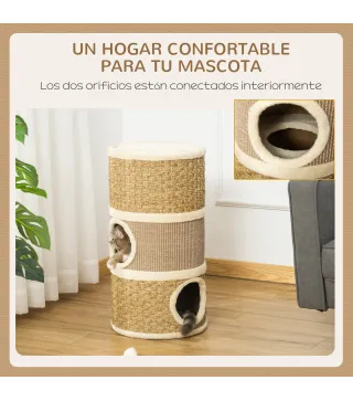 Conjunto para Gatos